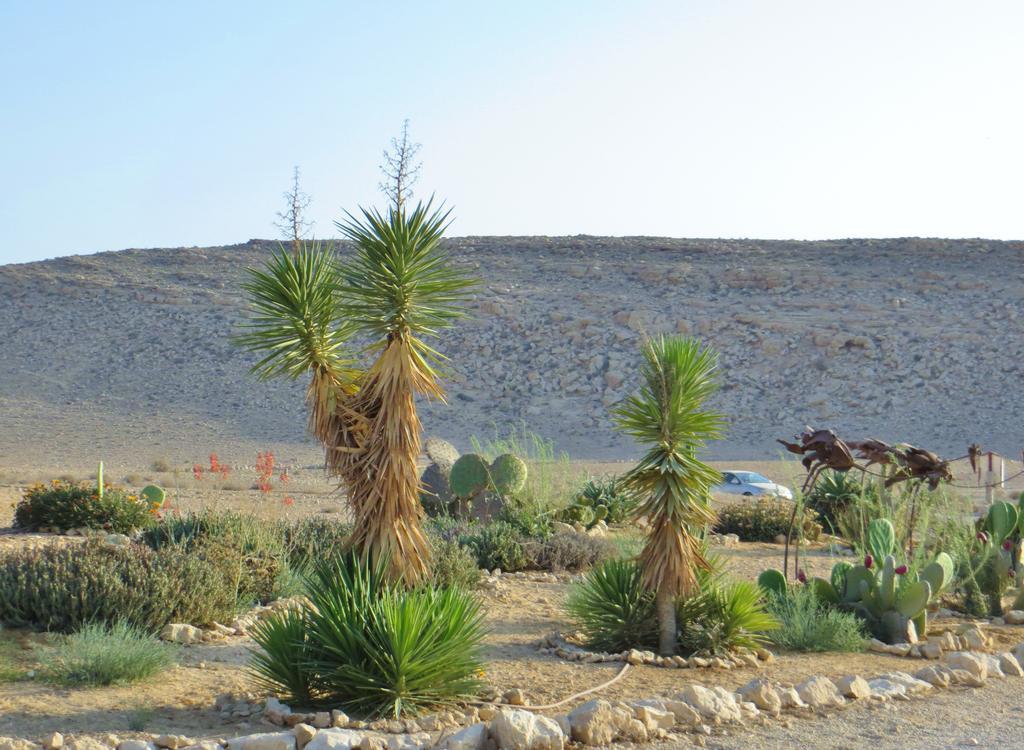 Succah In The Desert Mitzpe Ramon Exterior foto